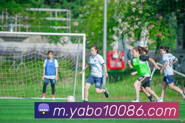 亚博体育服务体系